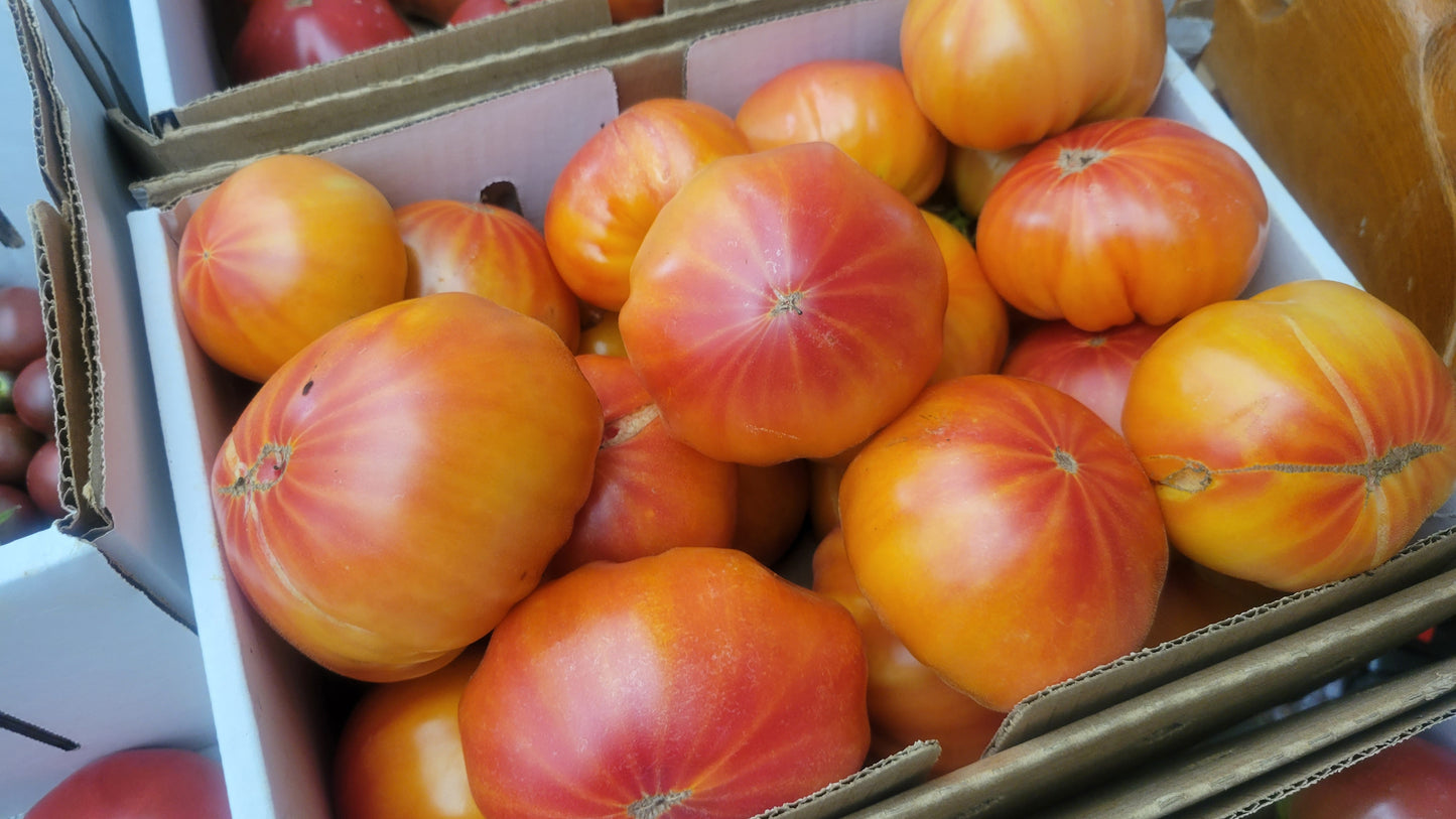 Heirloom Tomatoes