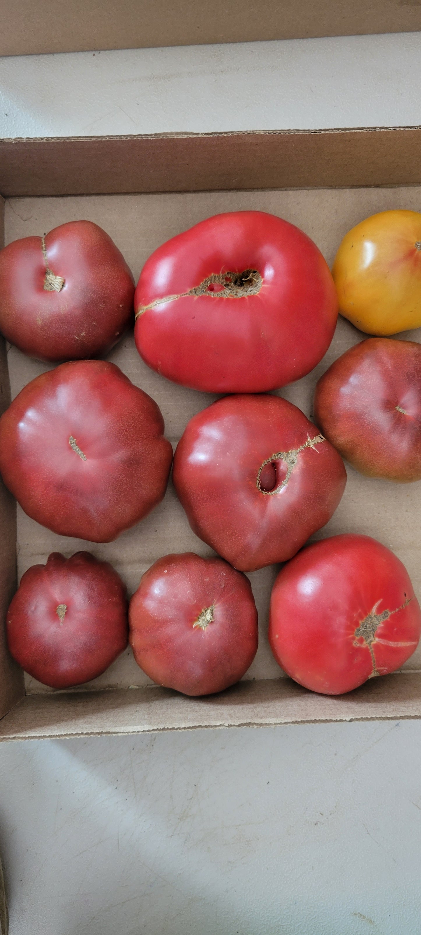 Heirloom Tomatoes