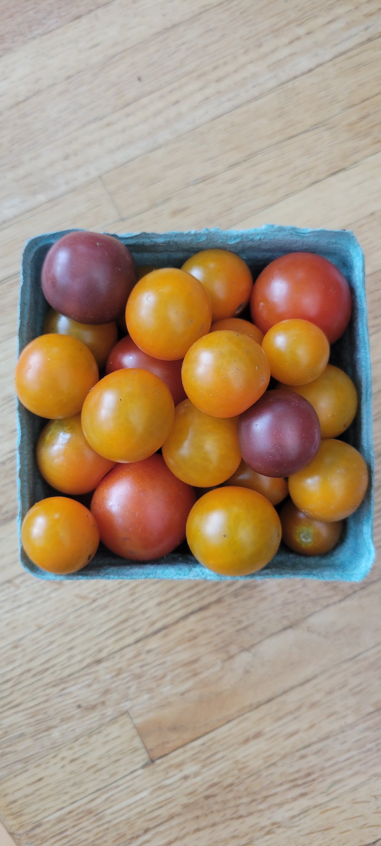 Cherry Tomatoes