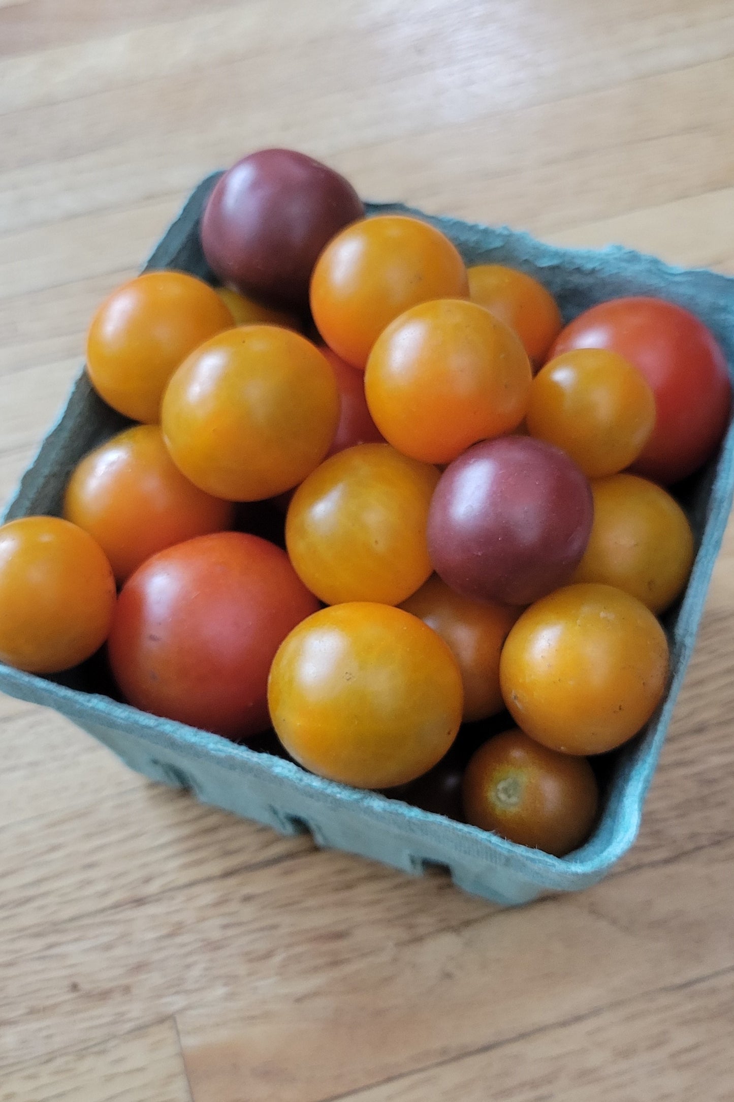 Cherry Tomatoes