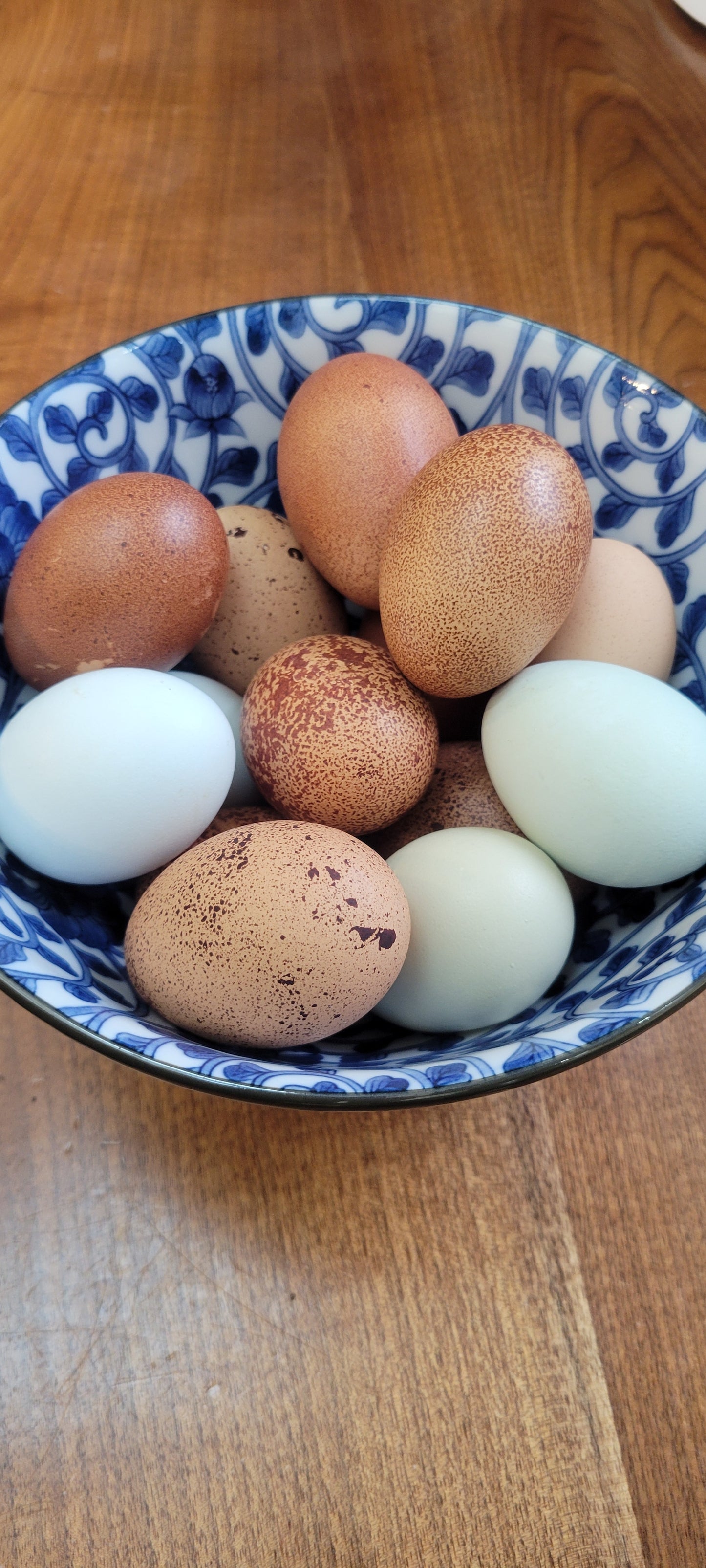 Forest Raised Eggs