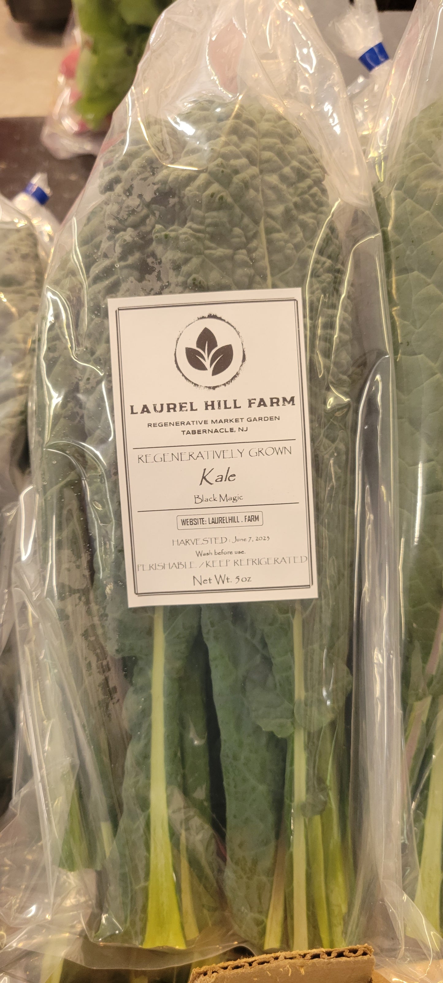 Kale