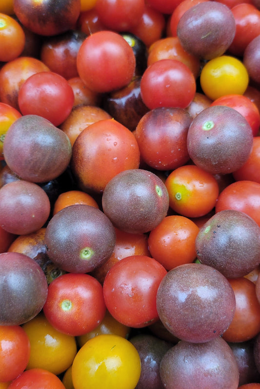 Cherry Tomatoes