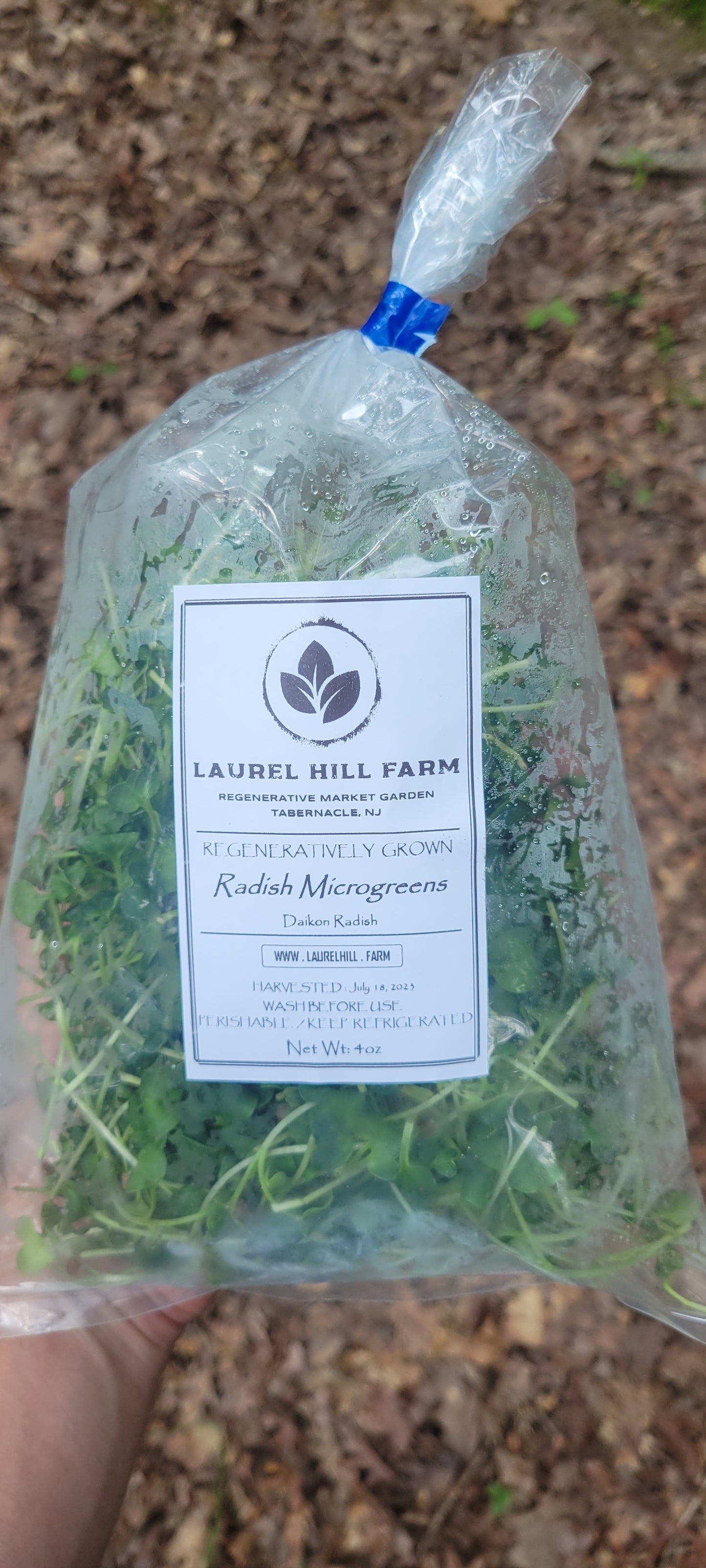 Speckled Pea Microgreens