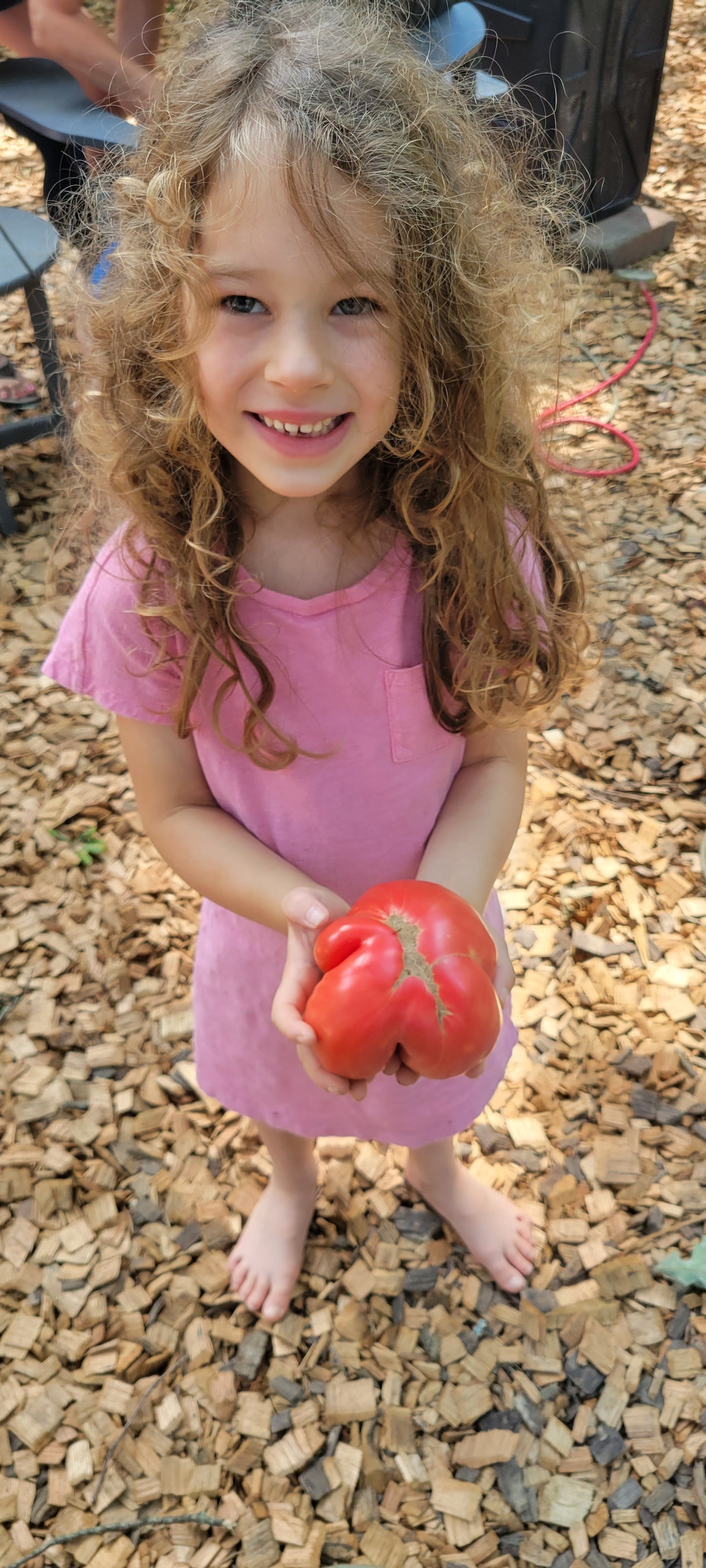 Heirloom Tomatoes