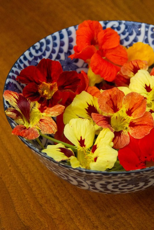 Edible Nasturtium Flowers