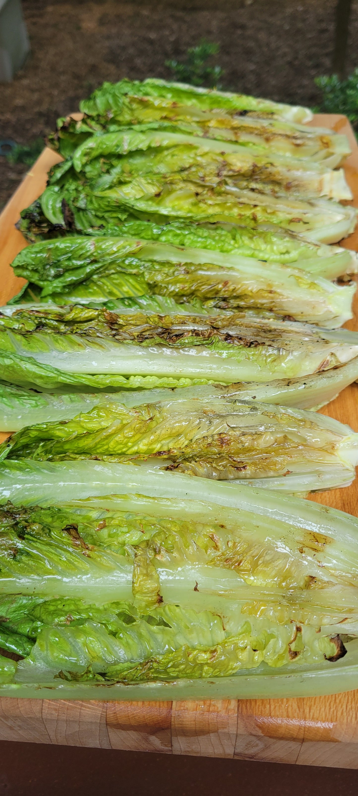 Romaine Hearts